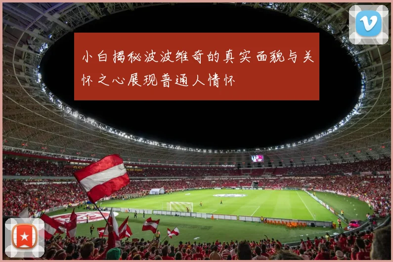 小白揭秘波波维奇的真实面貌与关怀之心展现普通人情怀